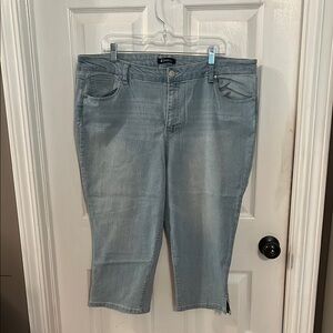 d. jeans Blue Ankle Cropped Jeans